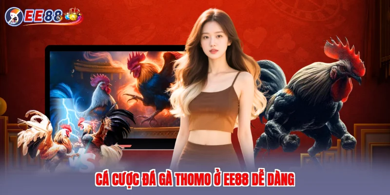 Cá cược đá gà thomo ở EE88 dễ dàng