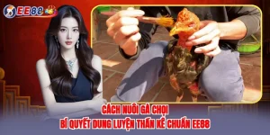 cách nuôi gà chọi
