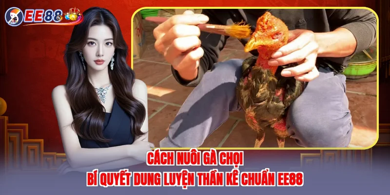 cách nuôi gà chọi