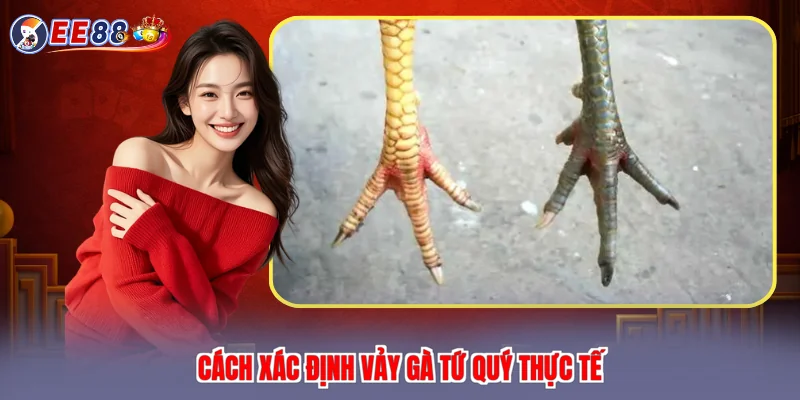Cách xác định vảy gà tứ quý thực tế
