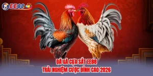 Đá gà cựa sắt