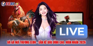 đá gà mã thương