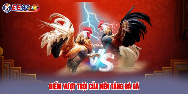 Điểm vượt trội của nền tảng đá gà