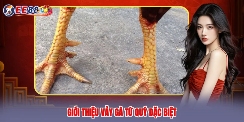 Giới thiệu vảy gà tứ quý đặc biệt