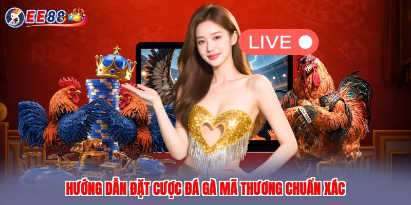 Hướng dẫn đặt cược đá gà mã thương chuẩn xác