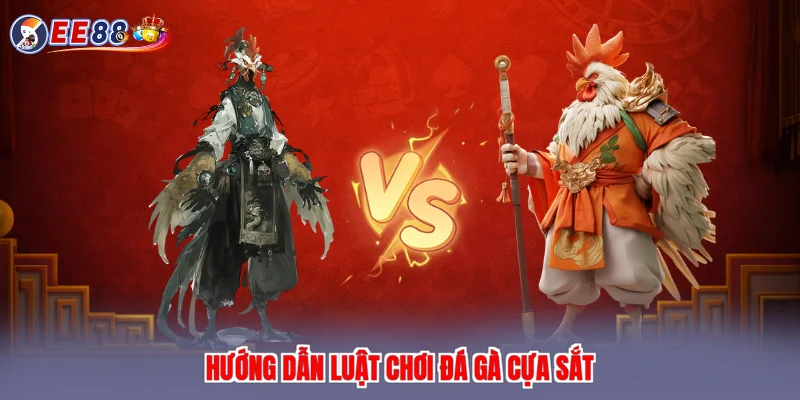 Hướng dẫn luật chơi đá gà cựa sắt