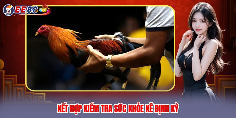 Kết hợp kiểm tra sức khỏe kê định kỳ