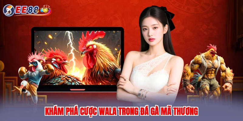 Khám phá cược Wala trong đá gà mã thương