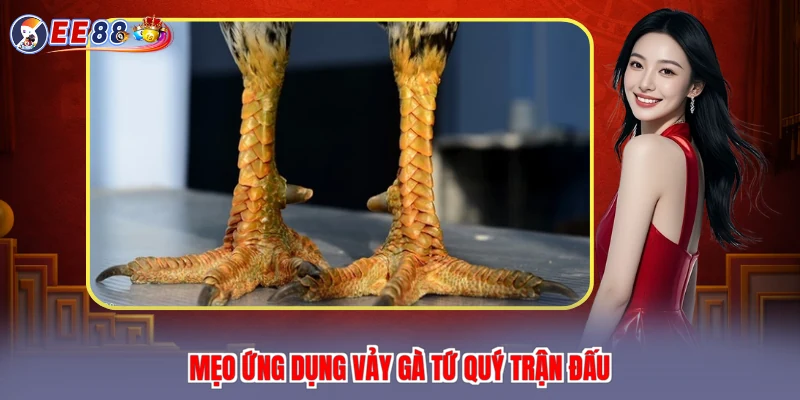 Mẹo ứng dụng vảy gà tứ quý trận đấu