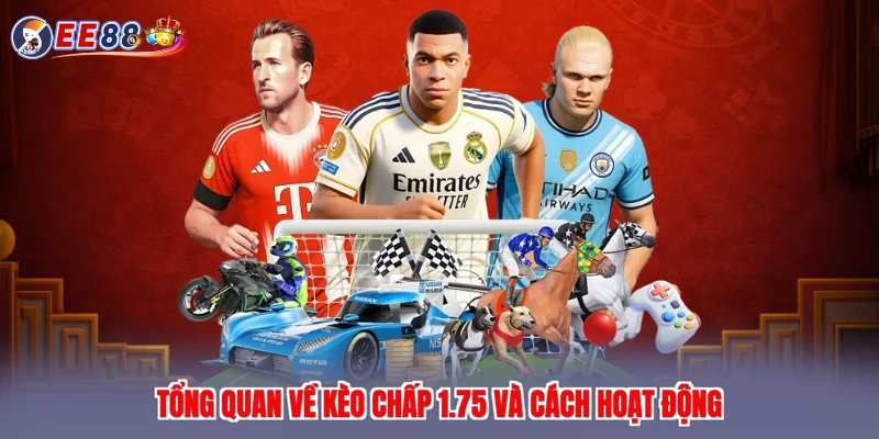 Tổng quan về kèo chấp 1.75 và cách hoạt động