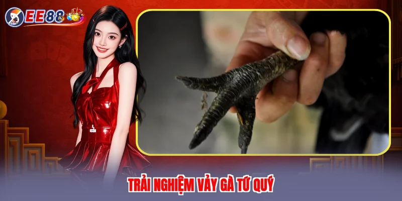 Trải nghiệm vảy gà tứ quý